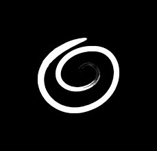 download (2).png
